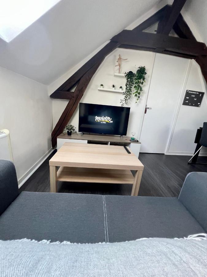 Bel Appartement Lumineux 35M2, Bord De Loire Сен-Жак-Ле-Блан Экстерьер фото