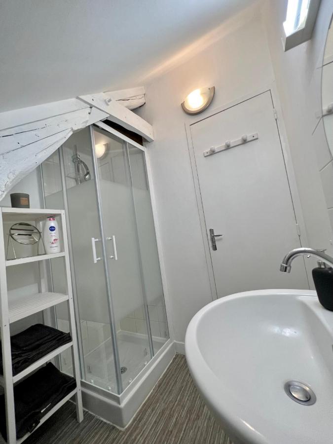 Bel Appartement Lumineux 35M2, Bord De Loire Сен-Жак-Ле-Блан Экстерьер фото
