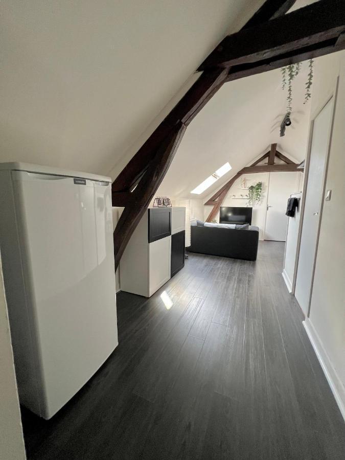 Bel Appartement Lumineux 35M2, Bord De Loire Сен-Жак-Ле-Блан Экстерьер фото